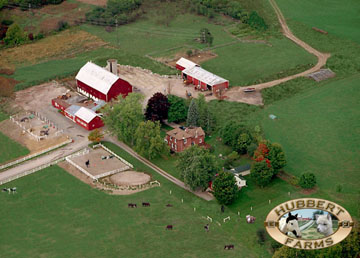 Farms In Ontario